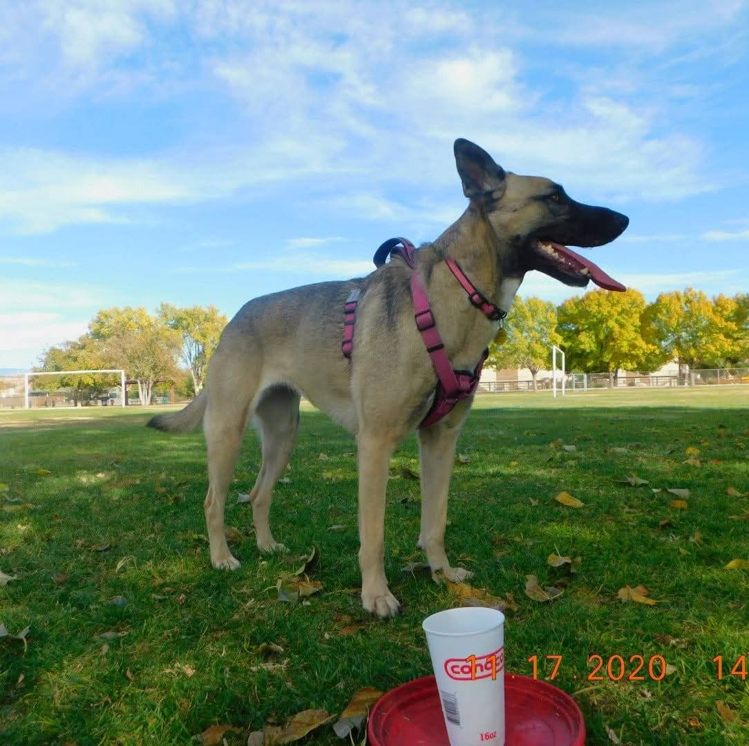 Cleopatra in the park