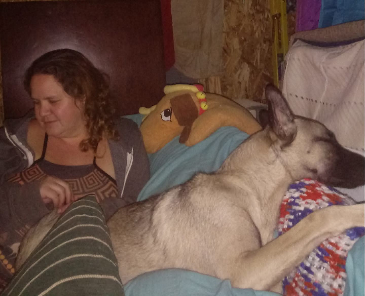 Syndal and Cleopatra on the couch