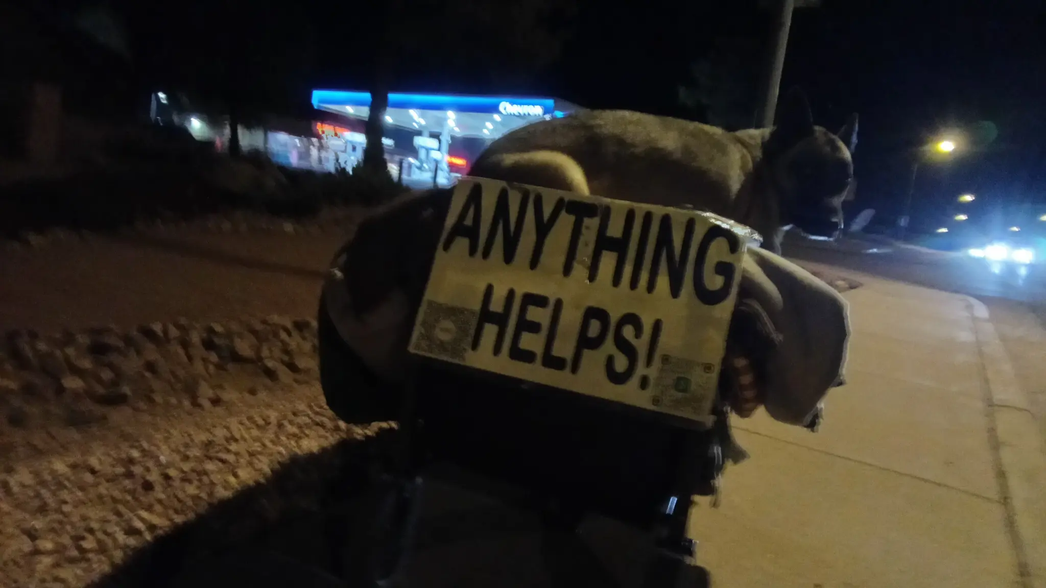 Cleopatra with the 'Anything Helps' sign by the roadside