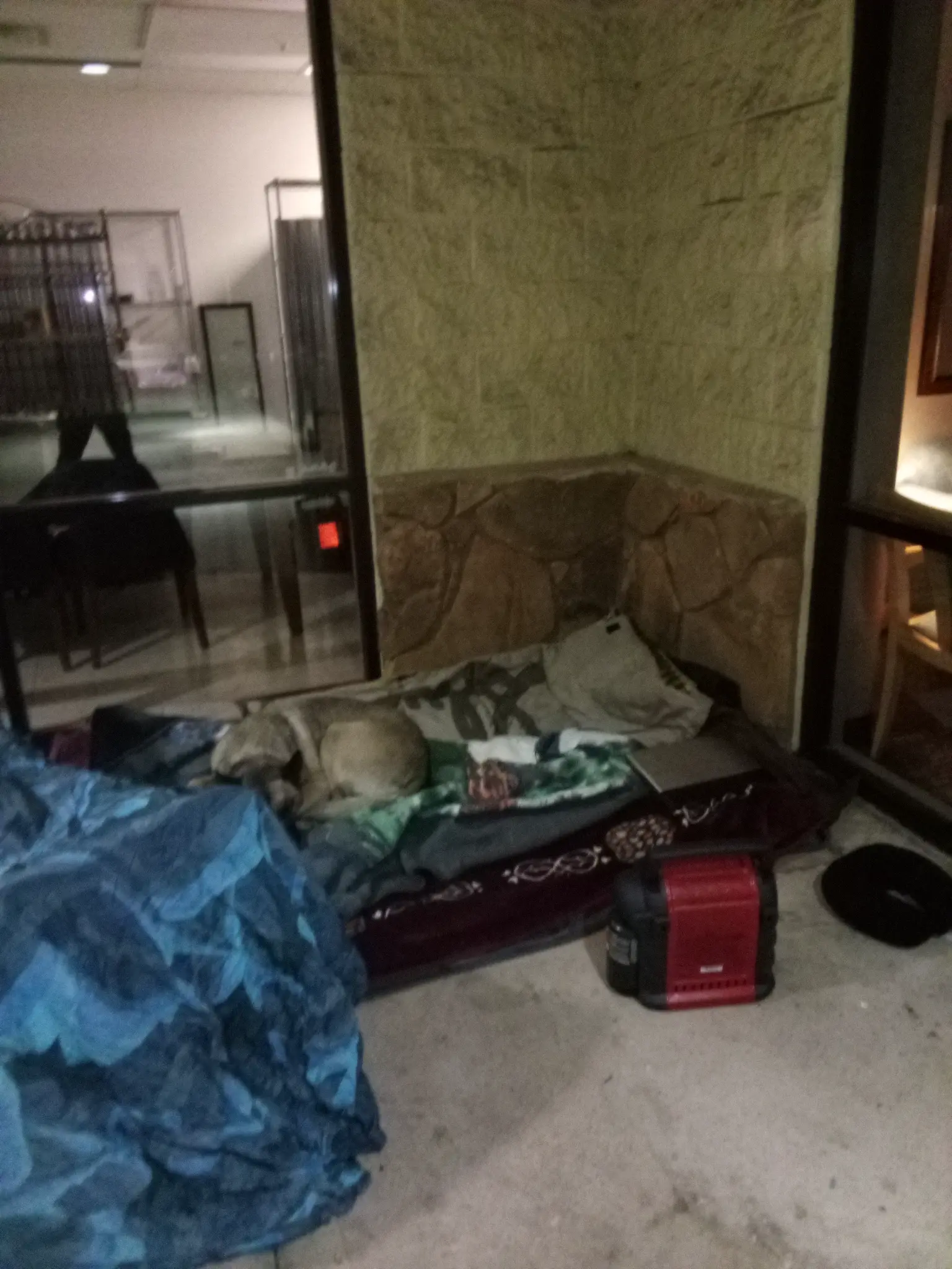 Cleopatra sleeping in a building alcove with blankets